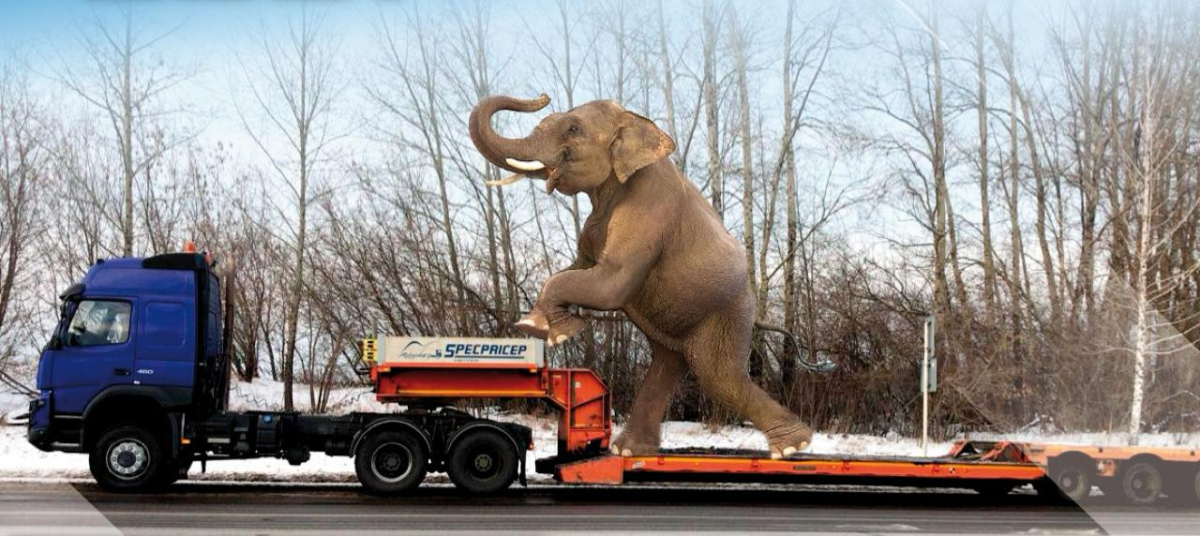 Безупречная репутация